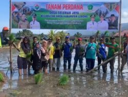 Desa Selebar Jaya Kecamatan Amen Launching Tanam Perdana Sukseskan MT2