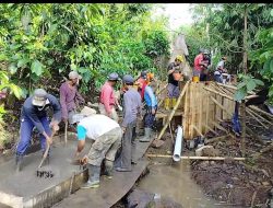 Atasi Kekeringan Lahan Sawah Pemdes Benuang Galing Bangun Irigasi Tersier