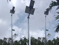 Pemdes Salam Harjo Bangun Lampu Jalan