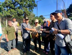 Pemdes talang curup sukses bagikan ayam bersertifikat kesehatan