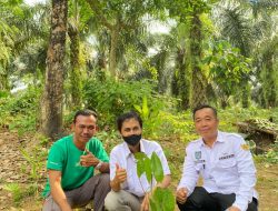 Pemerintah Desa Pukur Bagikan Bibit Gratis Kepada Masyarakat