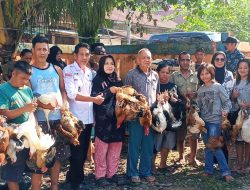 Tripika kecamatan Lais saksikan penyaluran Ketahanan pangan hewani,serta titik nol kegiatan Fisik Tahun 2024