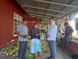 Pemdes Tebing Kandang sukses Bagikan Jagung Hasil Kebun Ketahanan Pangan Tahun 2024