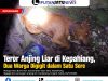 Teror Anjing Liar di Kepahiang, Dua Warga Digigit dalam Satu Sore