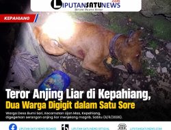 Teror Anjing Liar di Kepahiang, Dua Warga Digigit dalam Satu Sore